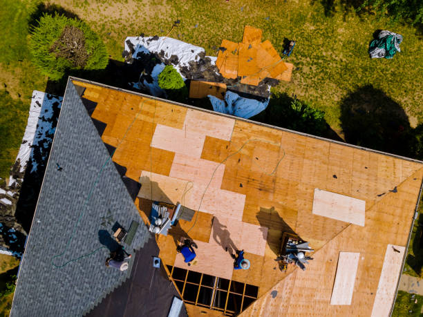 Best Commercial Roof Installation  in Lecanto, FL